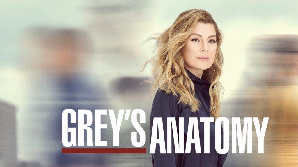 Grey's Anatomy 17