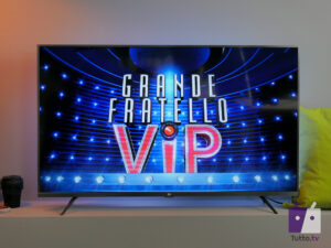 Grande Fratello Vip logo