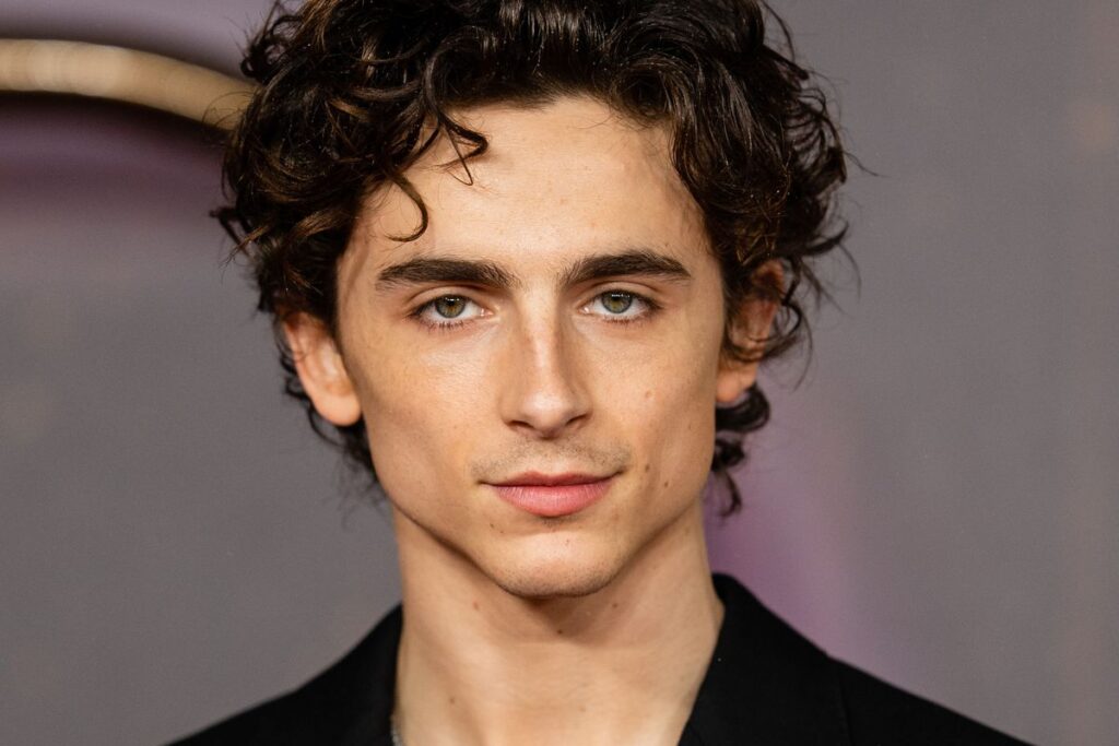 Timothée Chalamet